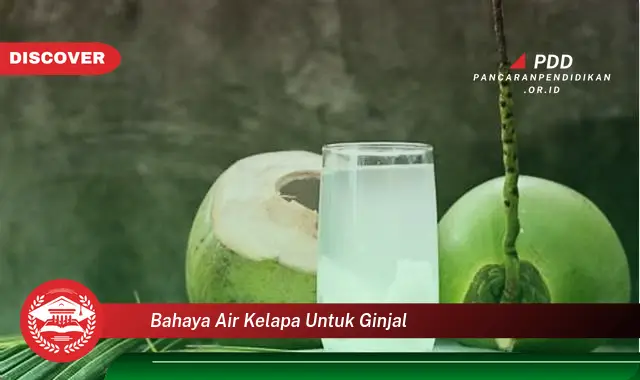 bahaya air kelapa untuk ginjal