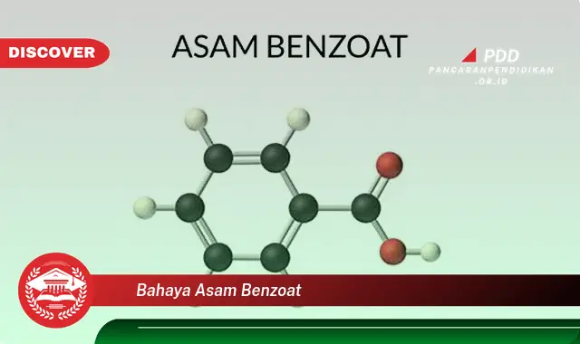 bahaya asam benzoat