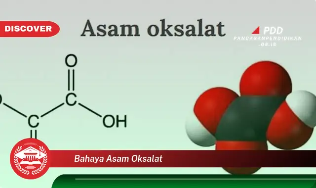 bahaya asam oksalat