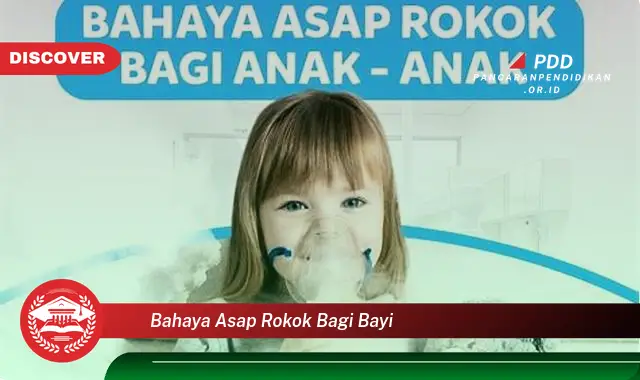 bahaya asap rokok bagi bayi