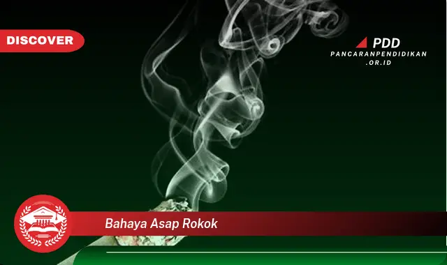 bahaya asap rokok