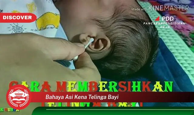 bahaya asi kena telinga bayi