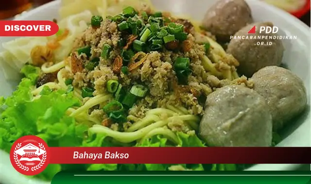 bahaya bakso