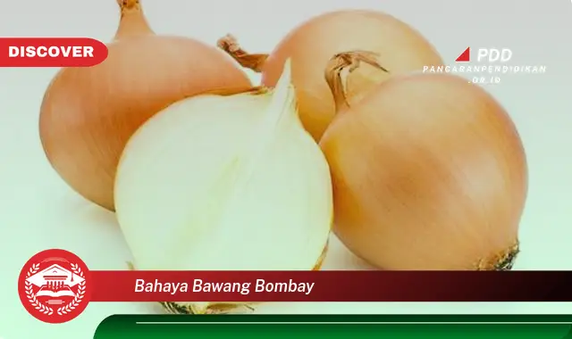 bahaya bawang bombay