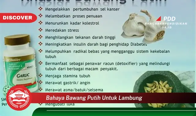 bahaya bawang putih untuk lambung