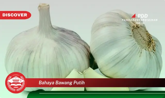 bahaya bawang putih