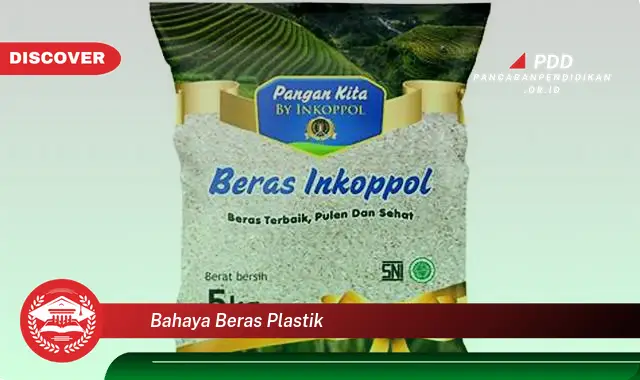 bahaya beras plastik