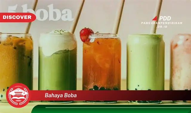 bahaya boba