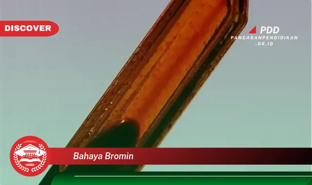 bahaya bromin