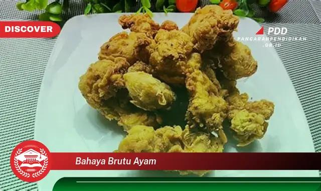 bahaya brutu ayam