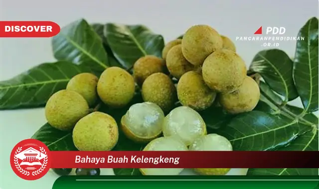 bahaya buah kelengkeng