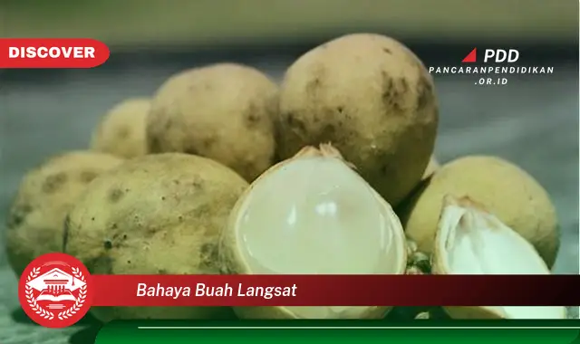 bahaya buah langsat