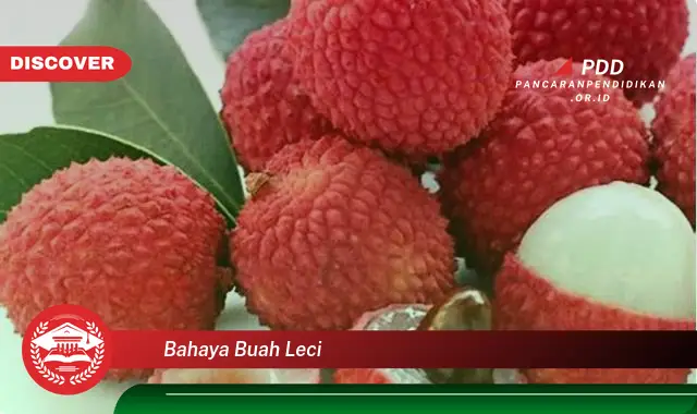 bahaya buah leci