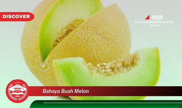 bahaya buah melon