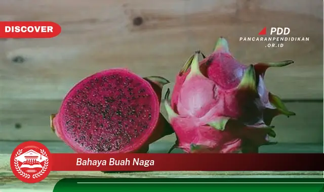 bahaya buah naga