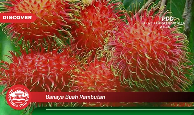 bahaya buah rambutan