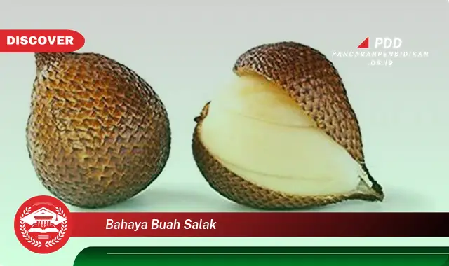 bahaya buah salak