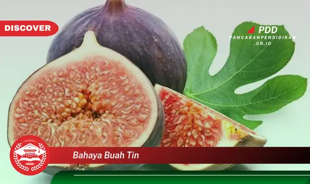 bahaya buah tin