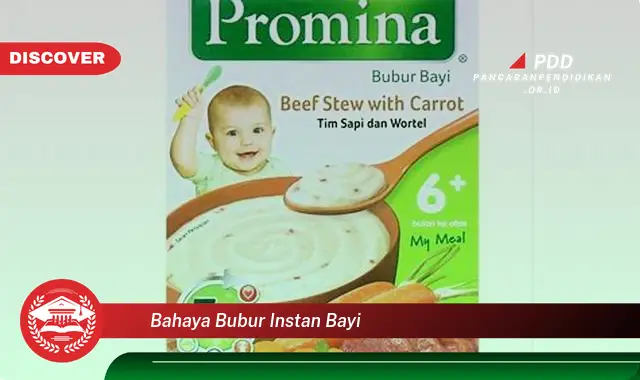 bahaya bubur instan bayi