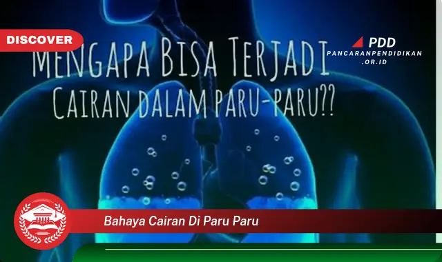 bahaya cairan di paru paru