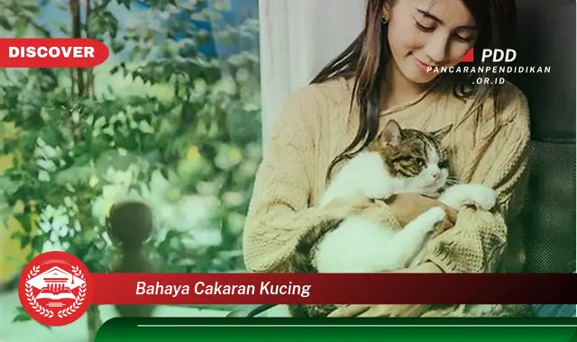 bahaya cakaran kucing