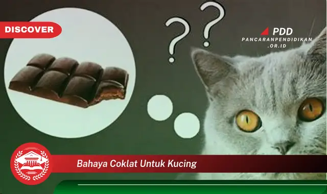 bahaya coklat untuk kucing