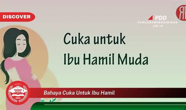 Intip 5 Bahaya Cuka untuk Ibu Hamil yang Wajib Diketahui