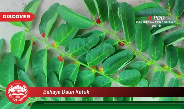 Ketahui 5 Bahaya Daun Katuk yang Wajib Diketahui