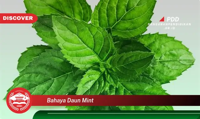 Intip 5 Bahaya Daun Mint yang Jarang Diketahui