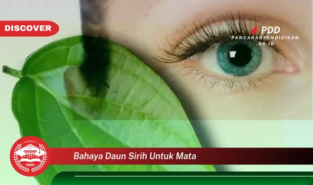 bahaya daun sirih untuk mata