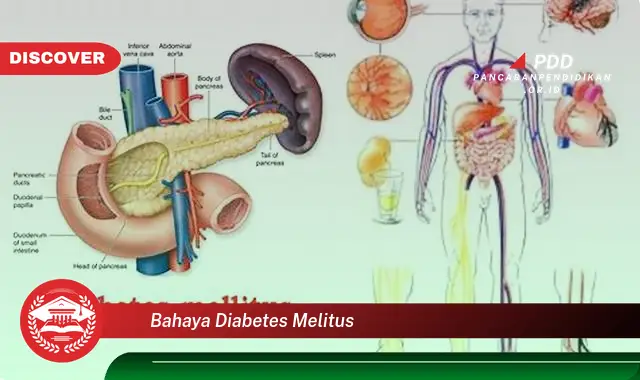 bahaya diabetes melitus