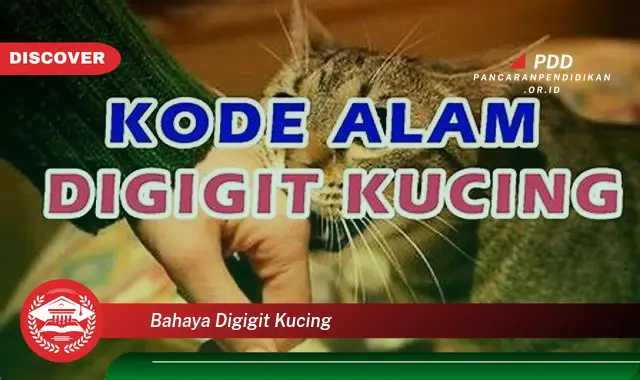 bahaya digigit kucing