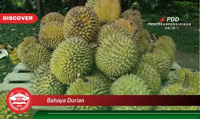 bahaya durian