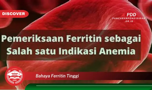 bahaya ferritin tinggi