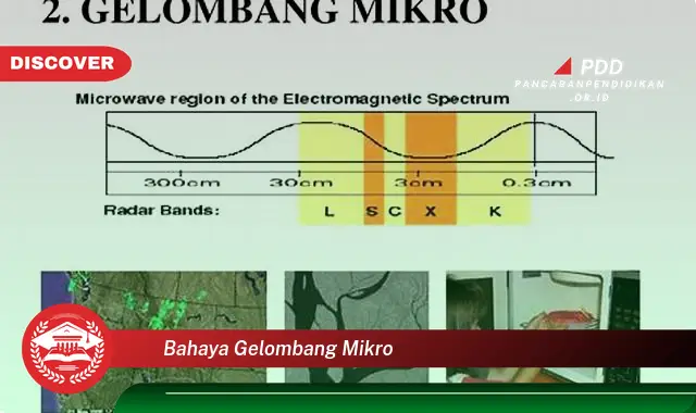 bahaya gelombang mikro