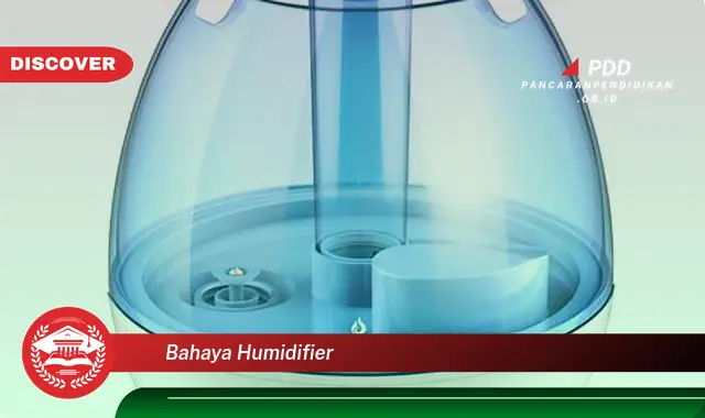 bahaya humidifier