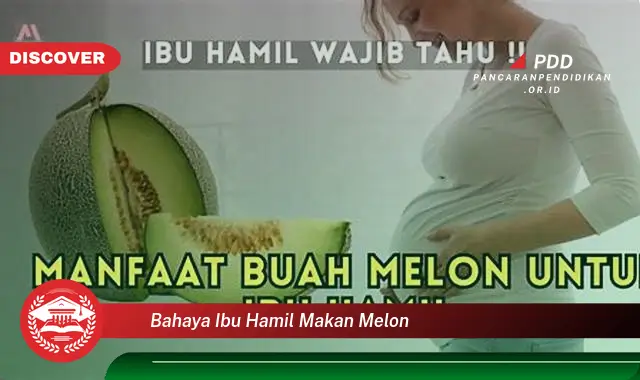 bahaya ibu hamil makan melon