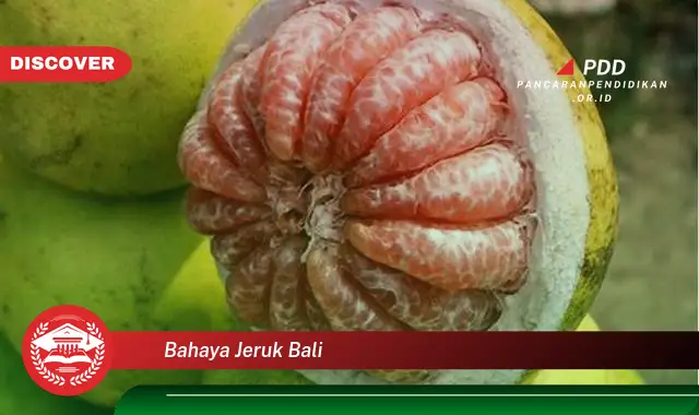 bahaya jeruk bali