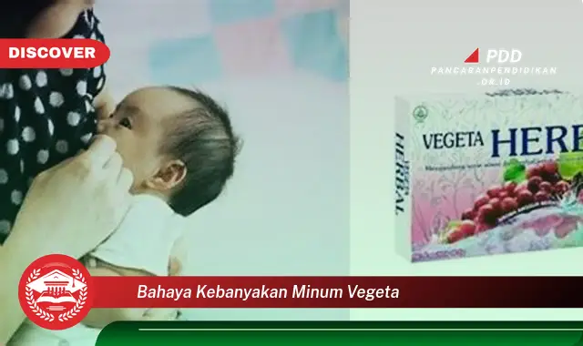 bahaya kebanyakan minum vegeta