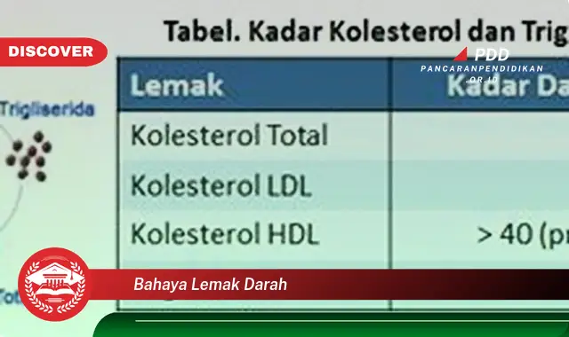 bahaya lemak darah