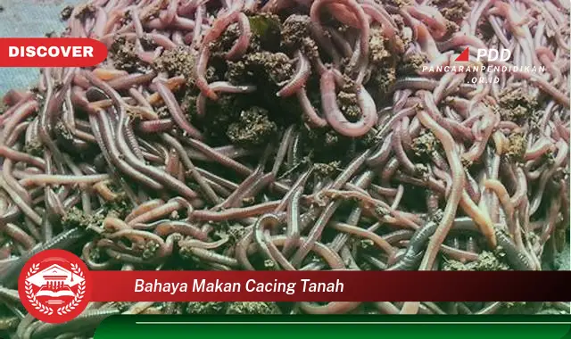 bahaya makan cacing tanah