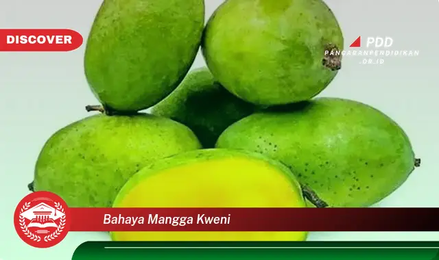 bahaya mangga kweni