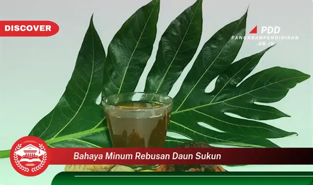 bahaya minum rebusan daun sukun