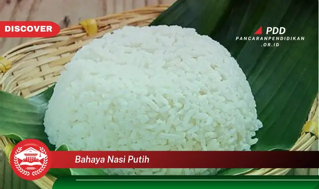 bahaya nasi putih