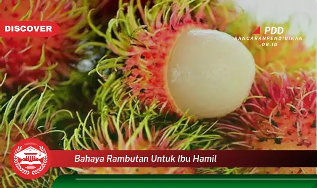 bahaya rambutan untuk ibu hamil