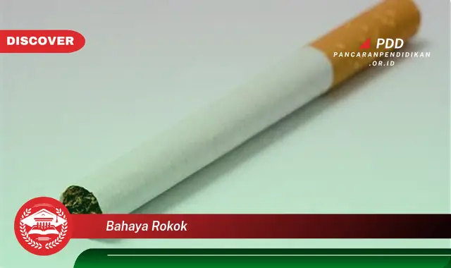 bahaya rokok