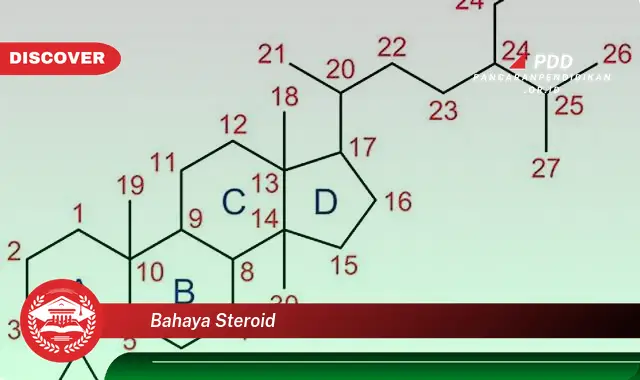 bahaya steroid