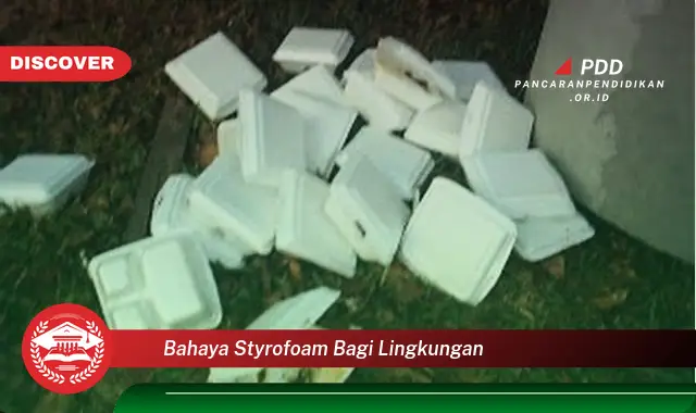 bahaya styrofoam bagi lingkungan