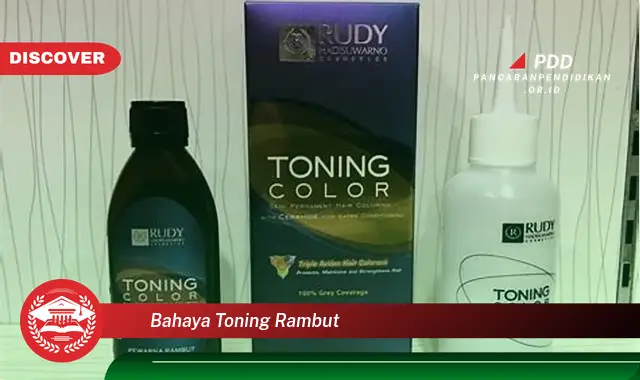 Intip 5 Bahaya Toning Rambut yang Bikin Penasaran