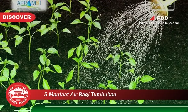 5 manfaat air bagi tumbuhan